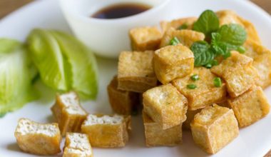 Fried Tofu Combo | 5 x 180g | Crispy Outside, Soft Inside | Vegan | High Protein